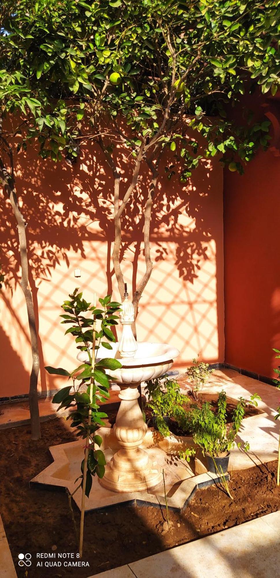 Maison D'Hotes Le Petit Jardin Marrakech マラケシュ エクステリア 写真